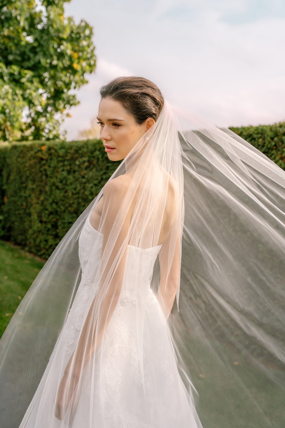 Lucia Plain Veil