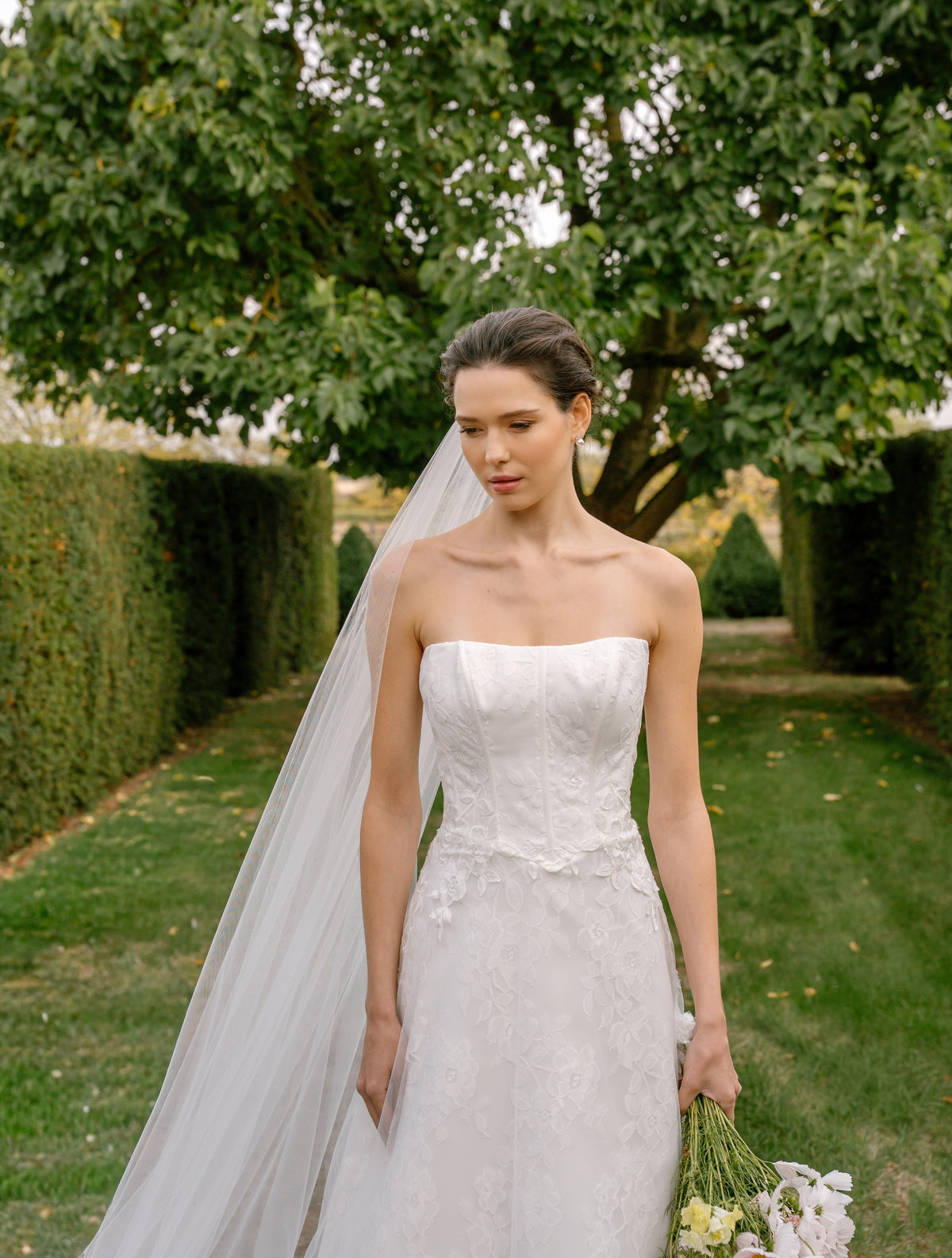 Lucia Plain Veil